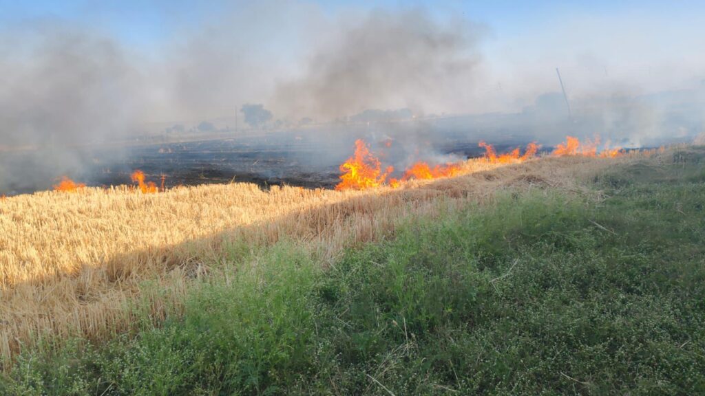 नरवाई जलाना प्रतिबंधित देवास