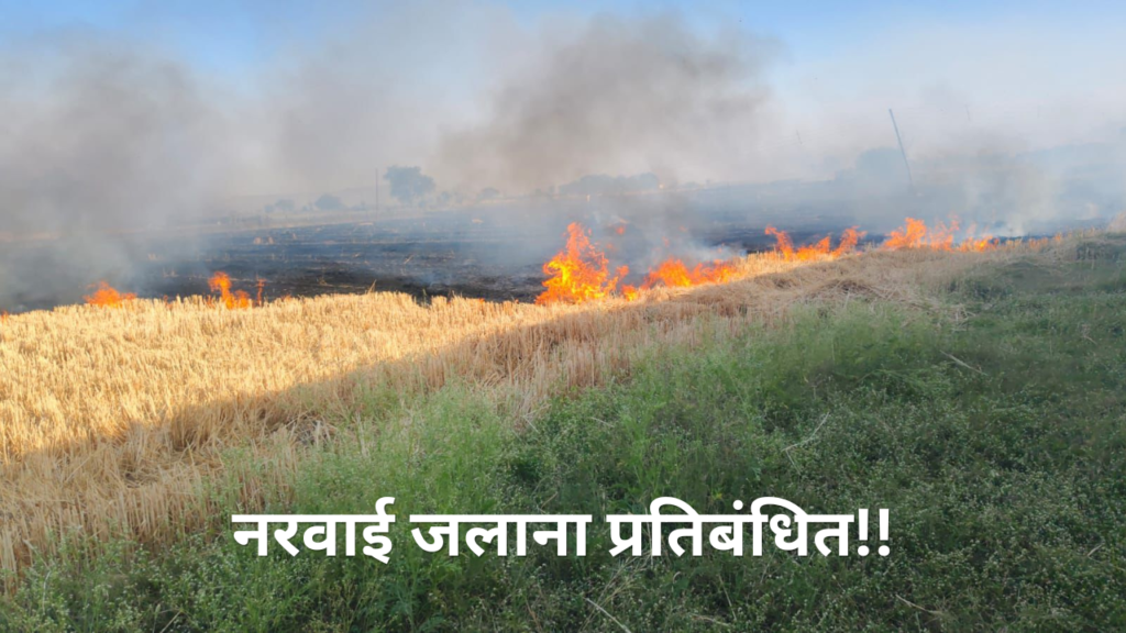 नरवाई जलाना प्रतिबंधित देवास