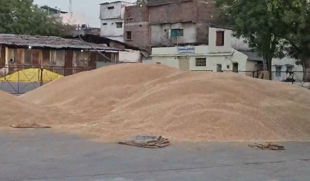 ई-उपार्जन पोर्टल समस्या