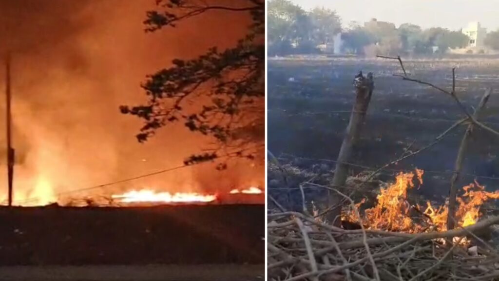 नरवाई जलाने पर किसानों का विरोध सोनकच्छ