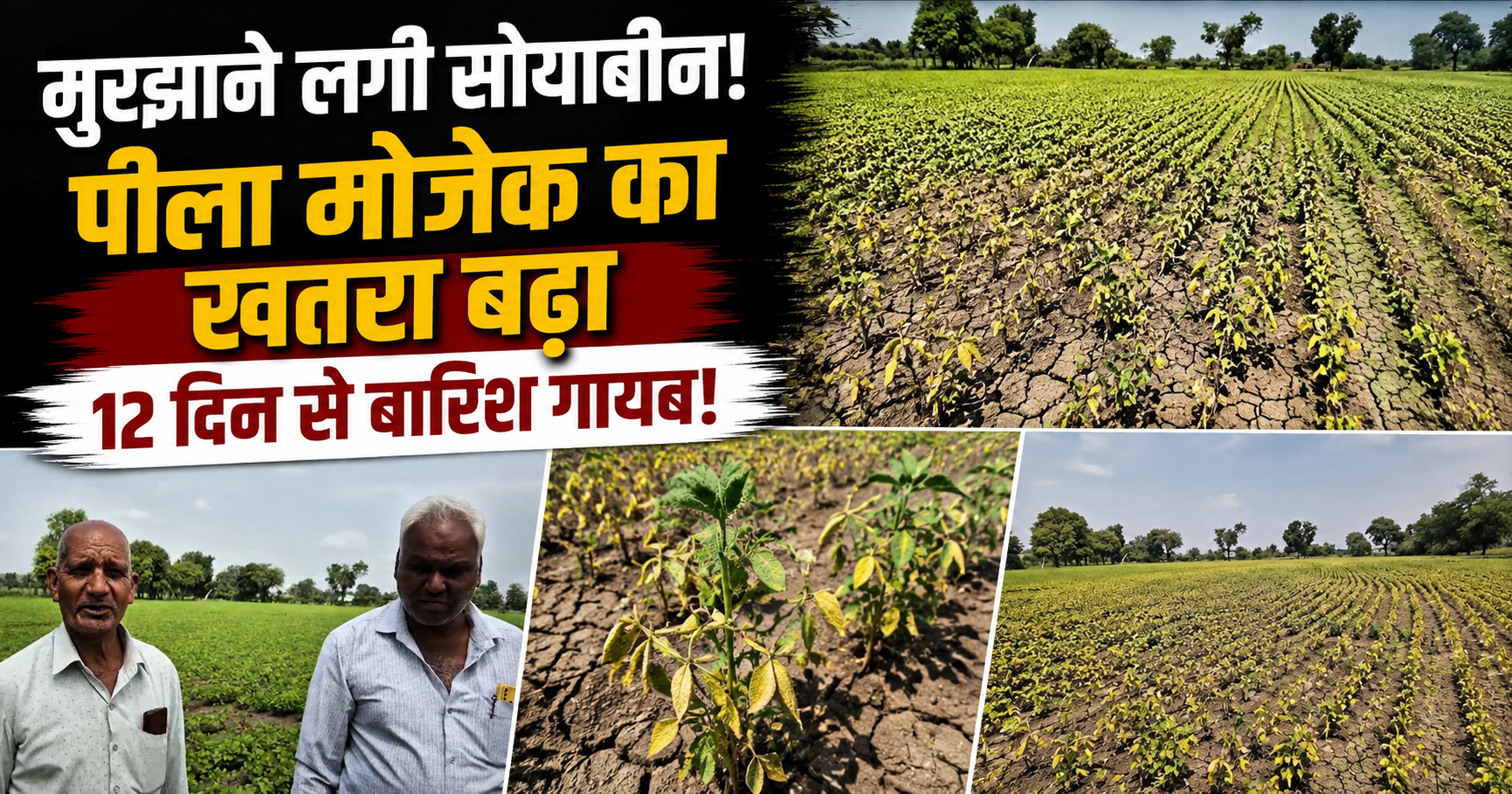 सोनकच्छ में बारिश नहीं
